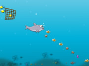 Play Big Fat Dolphin Big Fat Dolphin Game Online