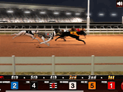 Greyhound Racing Game Online