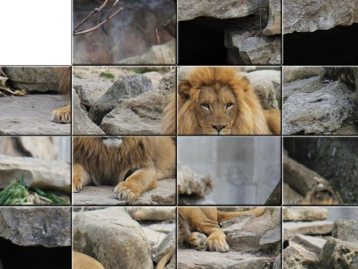 Lion Typing Game Image Lion Typing Game