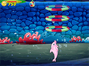 My Dolphin Show 5 Game Online