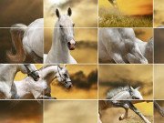 Running Horses Slide Puzzle Game Online