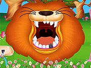 Wild Animal Doctor Adventure Game